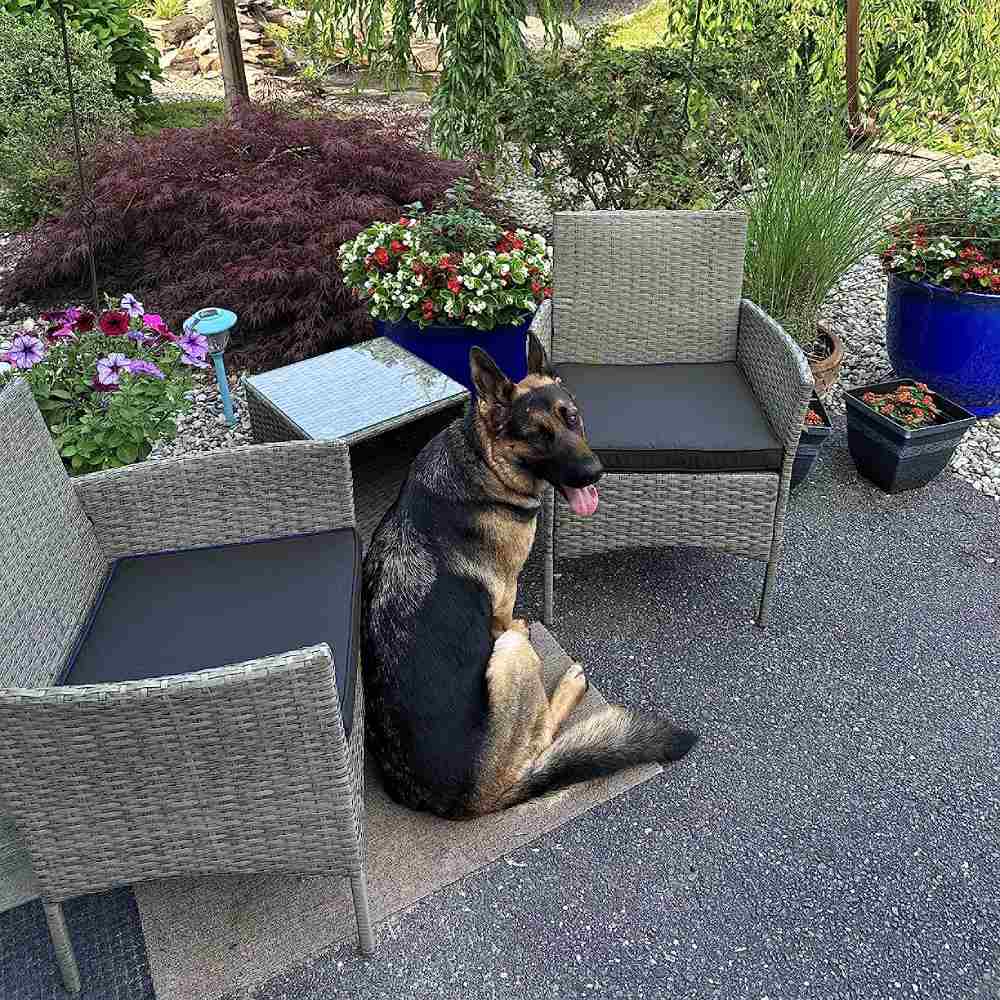 Outdoor Table and Chairs - Gray Black: image 9